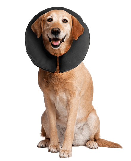 ZenCollar Kraag maat  XS
