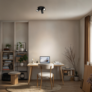 Philips triospot Pongee zwart
