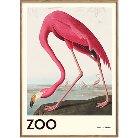 The Zoo Collection Flamingo - 50x70 cm