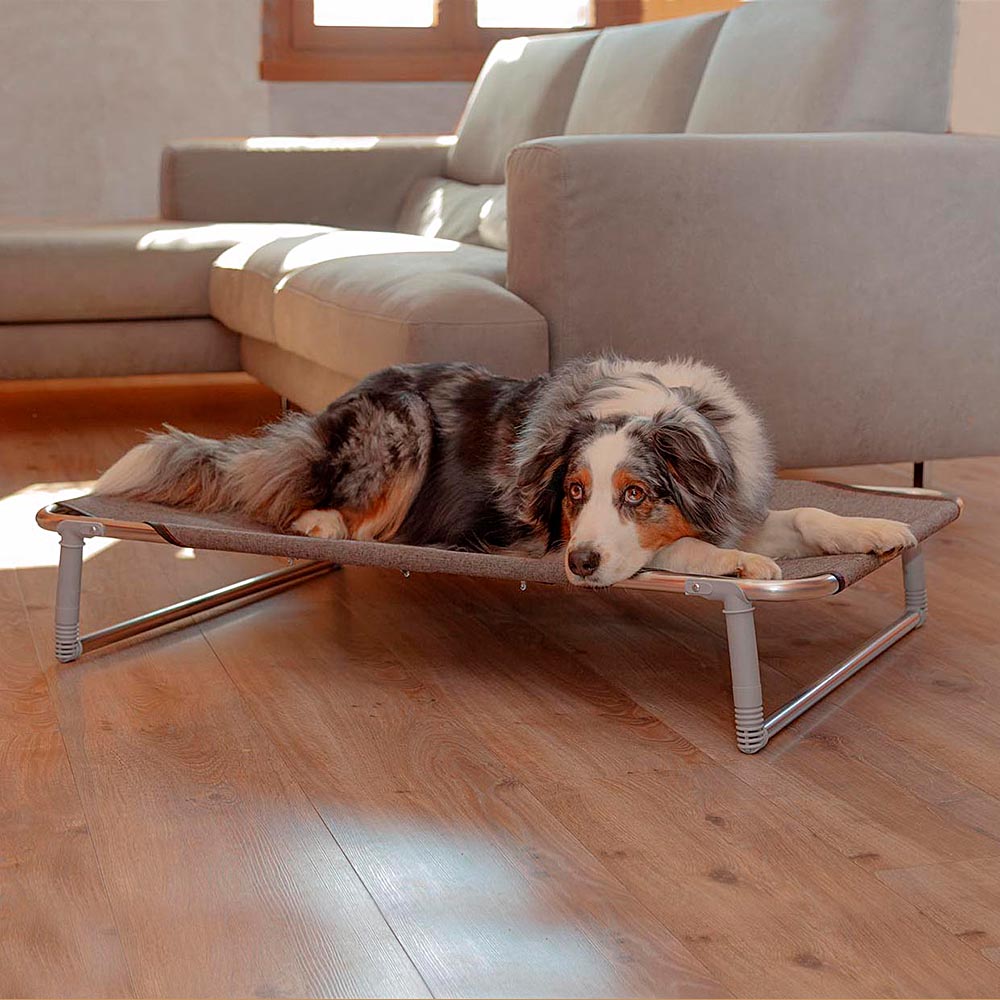 Ferplast lit pliable pour chiens dream 100, avec structure solide en aluminium avec élastiques renforcés, toile en tissu, 105 x 63