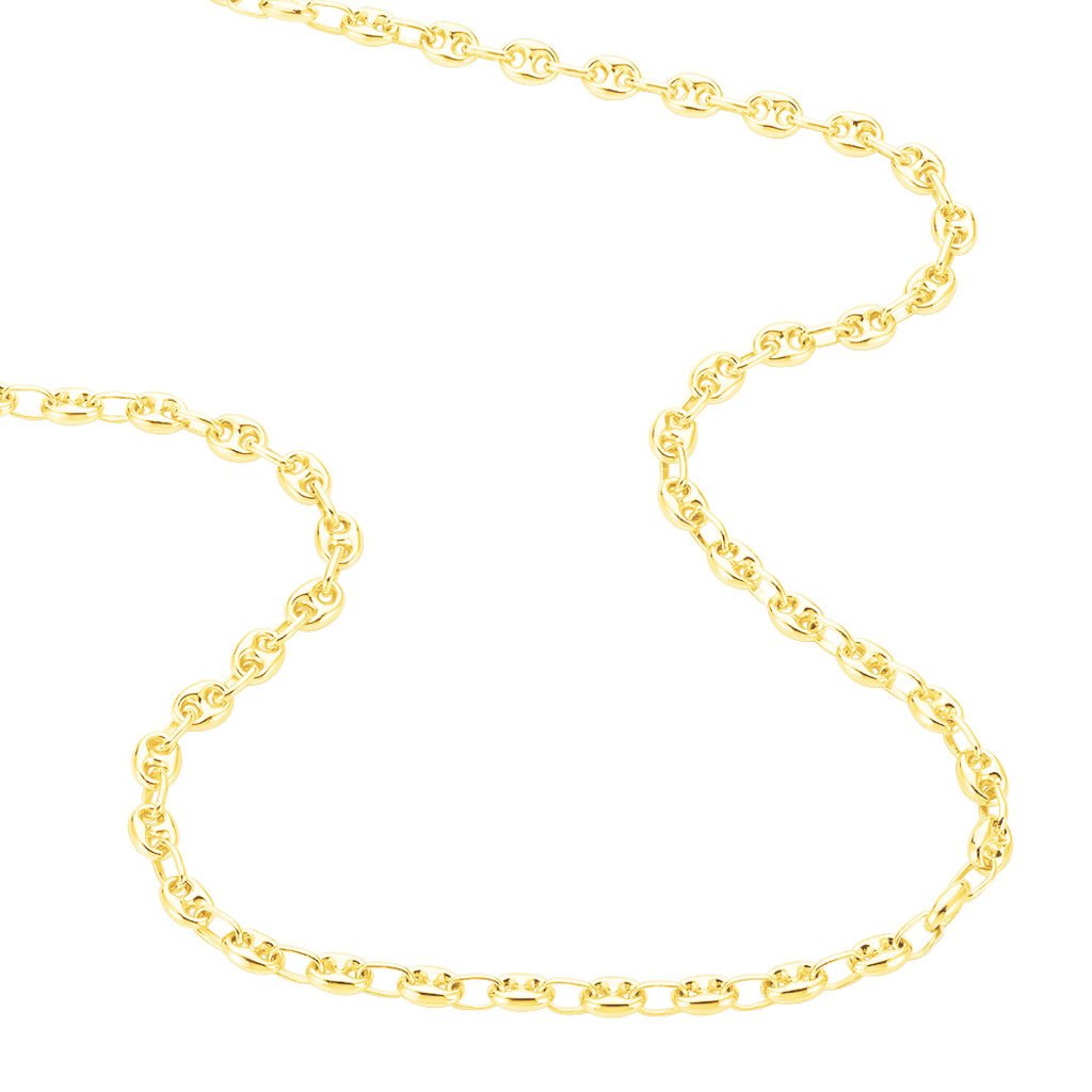 Collier Maille Dami Maille Grain De Cafe Or Jaune