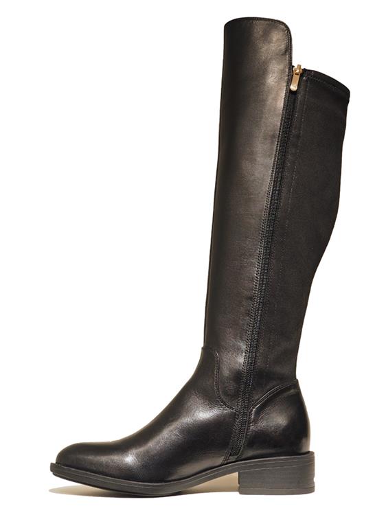 Regarde le Ciel Tessy-04 Black