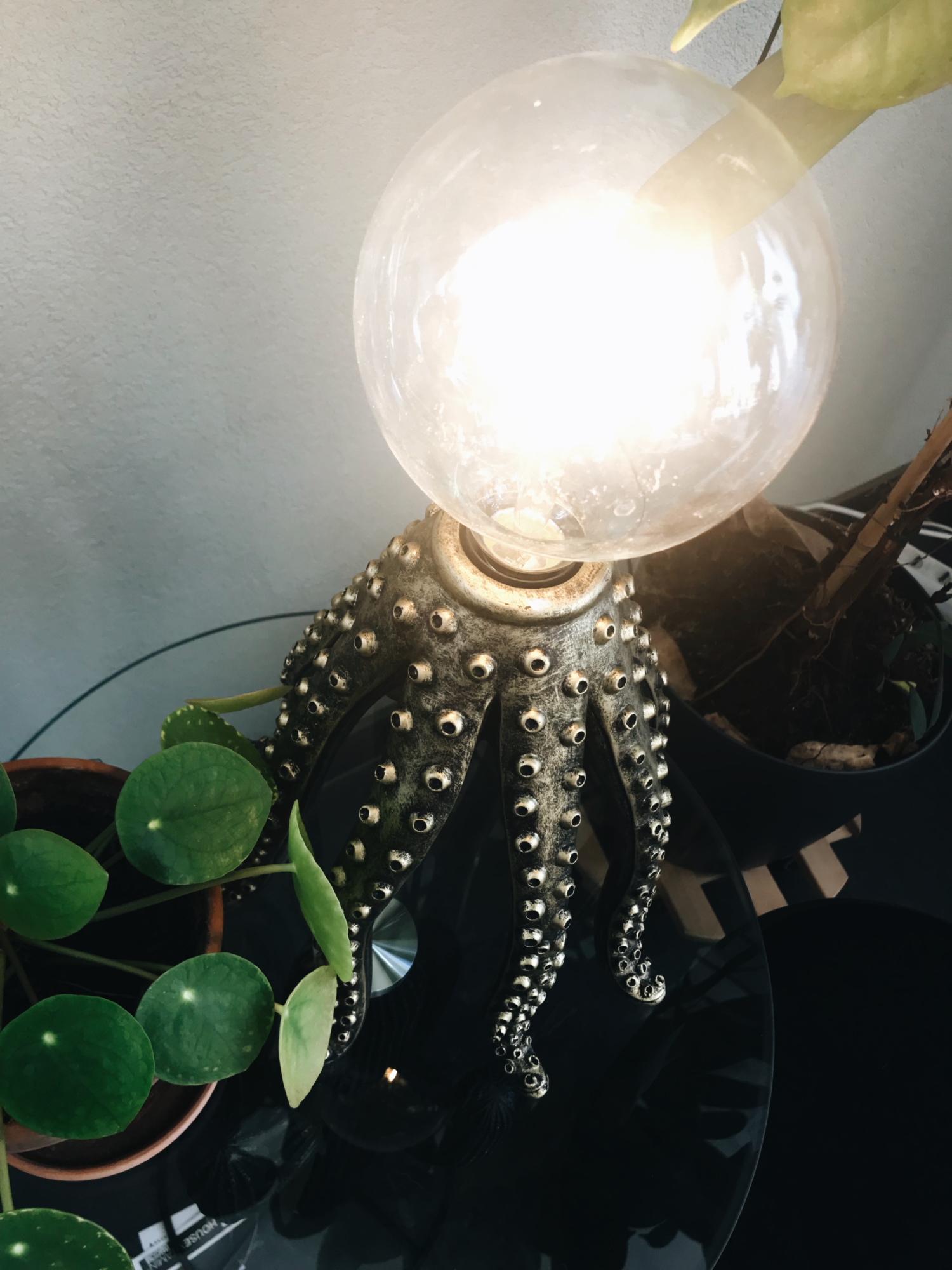 Tafellamp Octopus Octopus Lamp in Zwart
