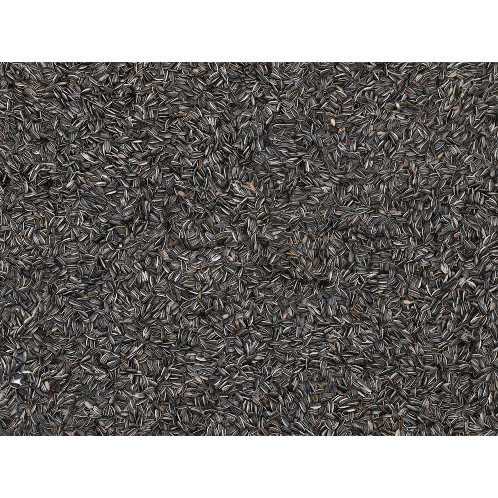 Graines de tournesol striées sachet de 700 g pour oiseaux