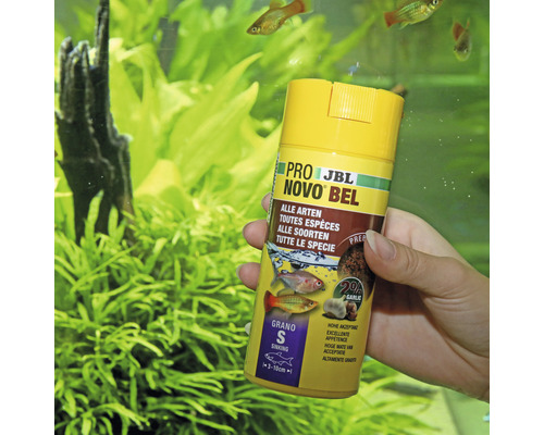 Korrelvoer JBL PRONOVO BEL GRANO maat S 250 ml