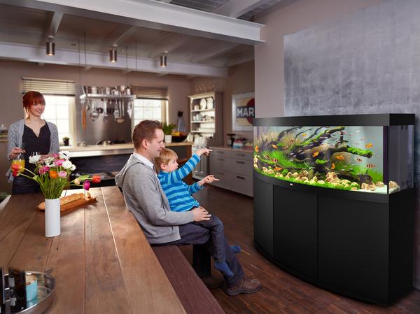 JUWEL® AQUARIUM Kombination Vision 450 LED,