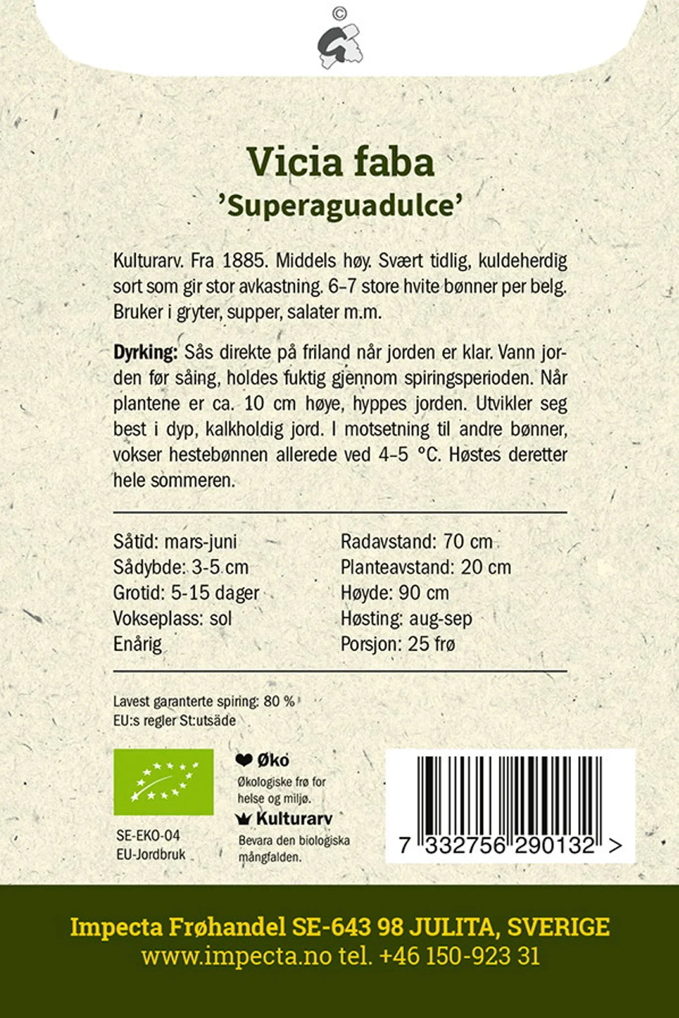 Vicia faba 'Superaguadulce' Hestebønne 'Superaguadulce'