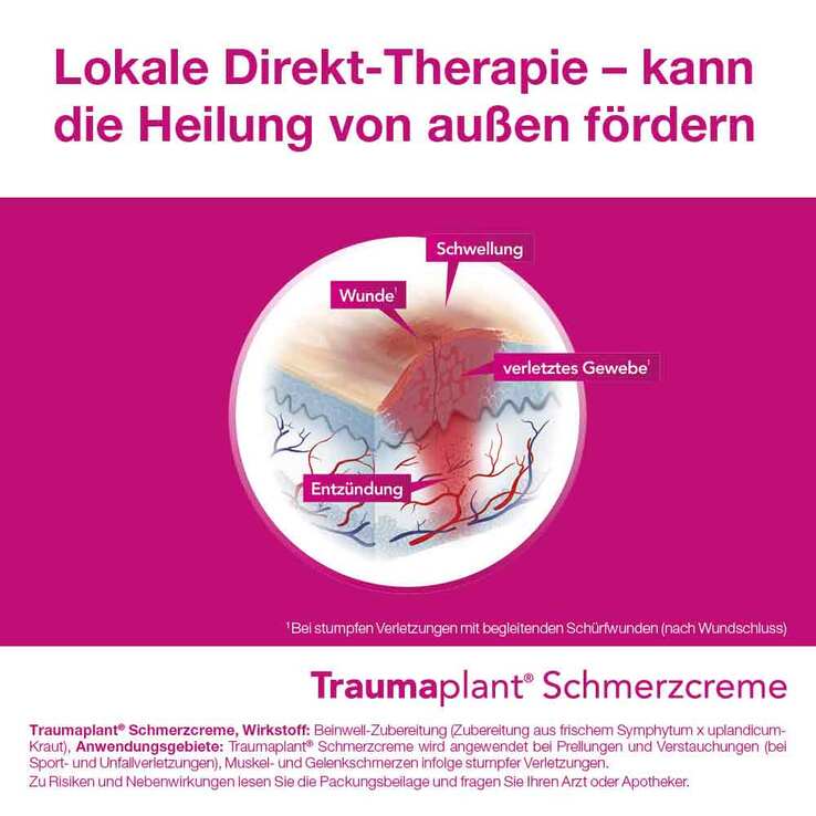 Traumaplant® Schmerzcreme, 100 g