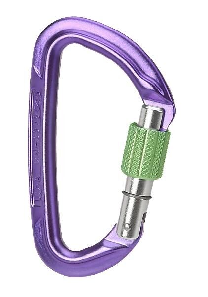 WILD COUNTRY - MOUSQUETON SESSION SCREW GATE