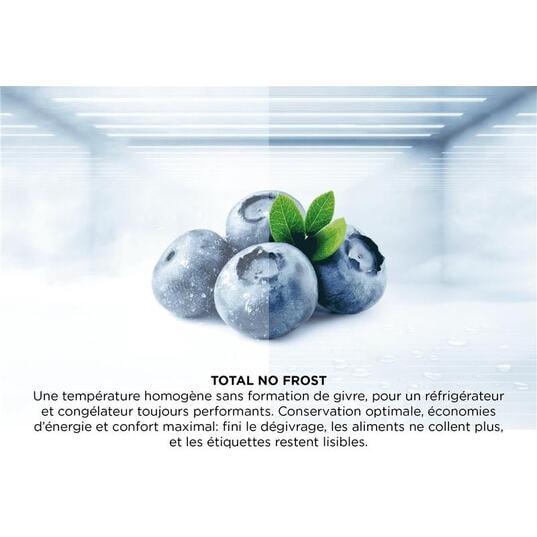 TCL Réfrigérateur congélateur bas RF340BWE0