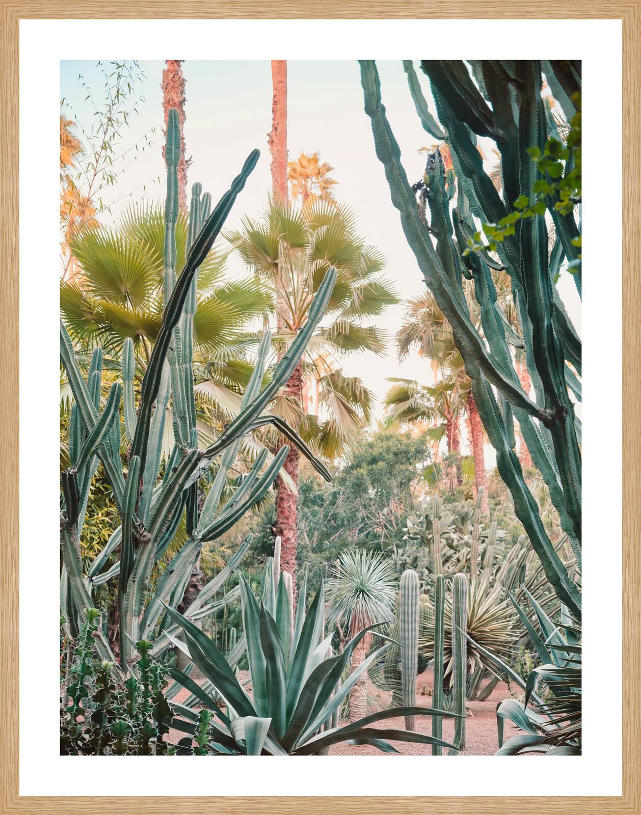 Jardin Majorelle II by Simon Watson - Limited Edition. Edition of: 150. Signed.