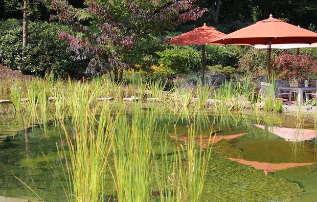 Wellnesstag für Zwei in Gronau