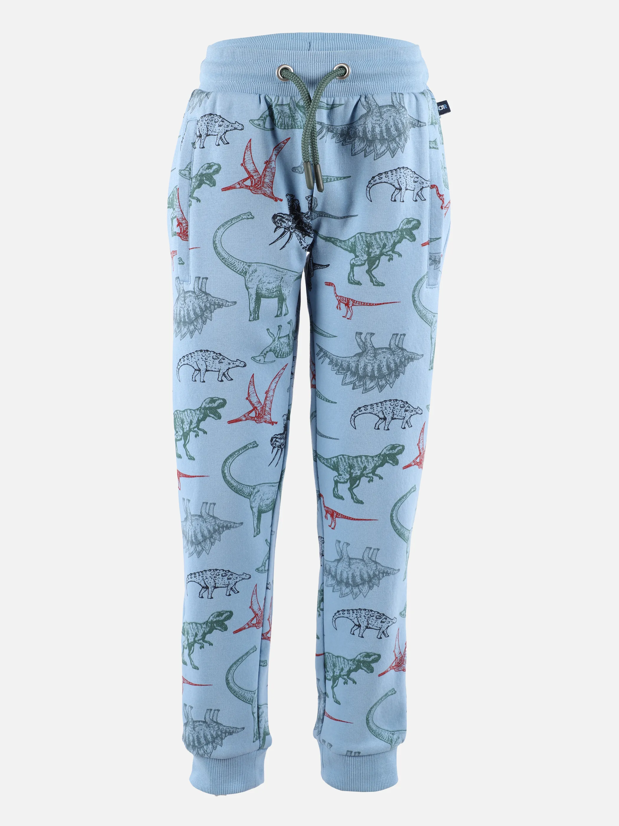 Jungen Jogginghose mit Dinoprint