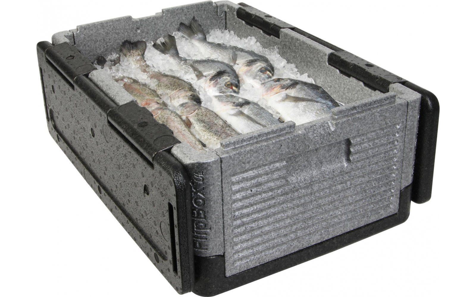 Overath Flip Box BIG faltbare Isolierbox 39 Liter