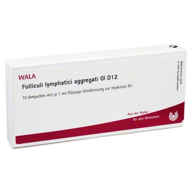 Folliculi lymphatici aggregati GL D 12 Ampullen, 10X1 ml