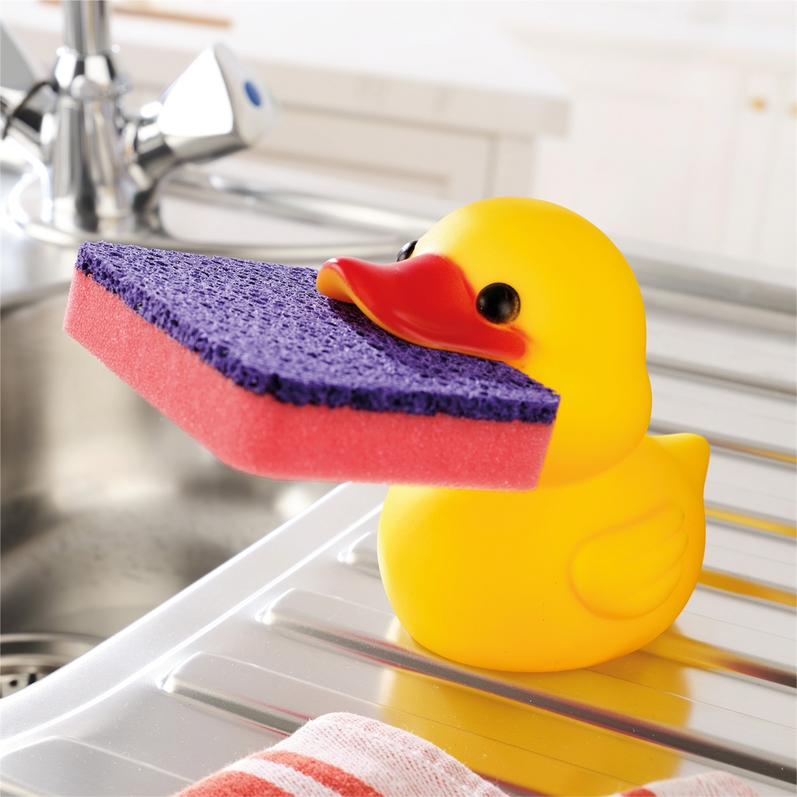 Canard porte-éponge