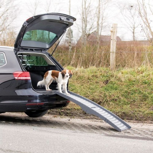 Rampa de acesso para cães em carros, cinza