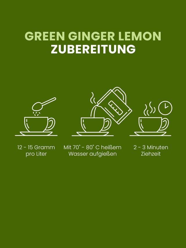 Grüner Tee Ingwer-Zitrone, 3er-Set