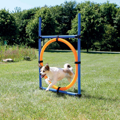 Trixie Dog Activity Agility Ring
