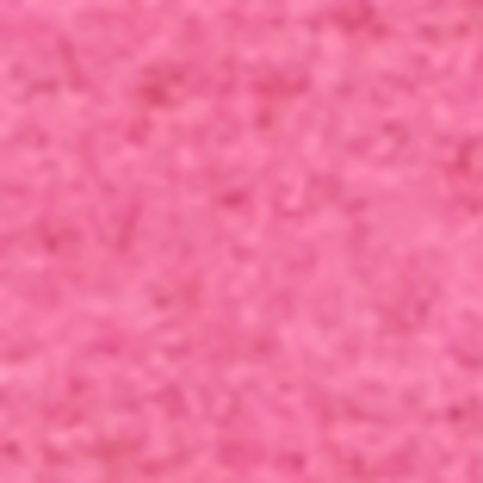 Jacquard-Schalaus Schurwolle-Mix