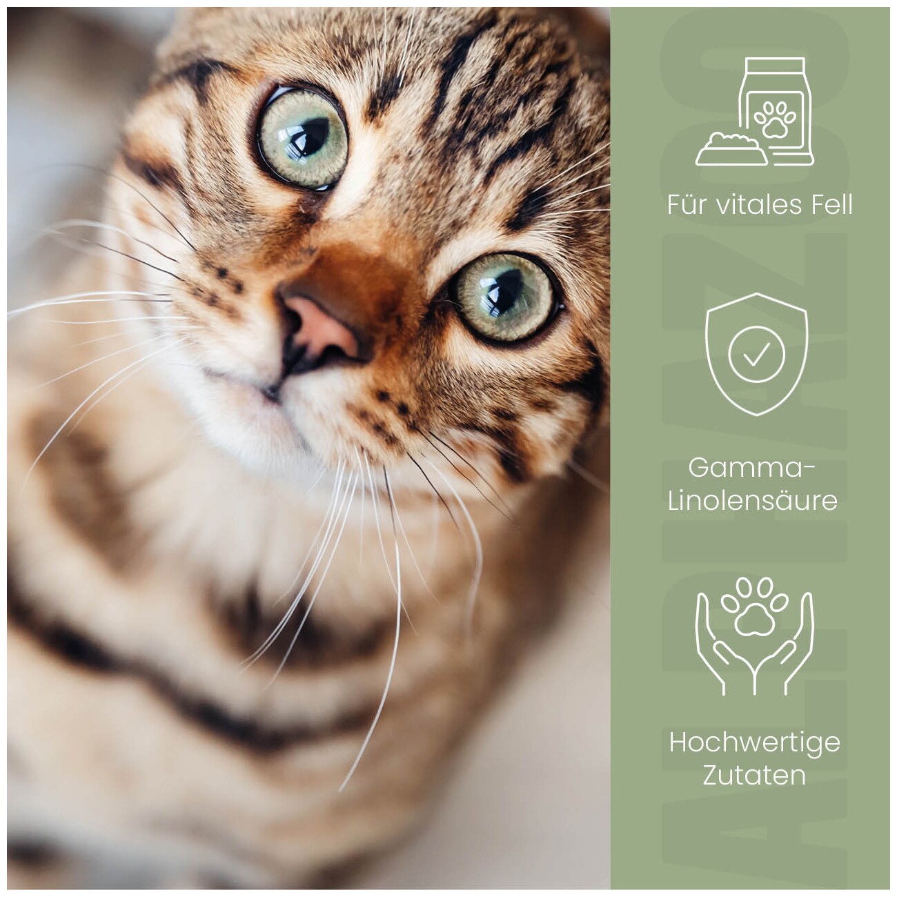 ALPHAZOO Fellliebe Futteröl für Katzen