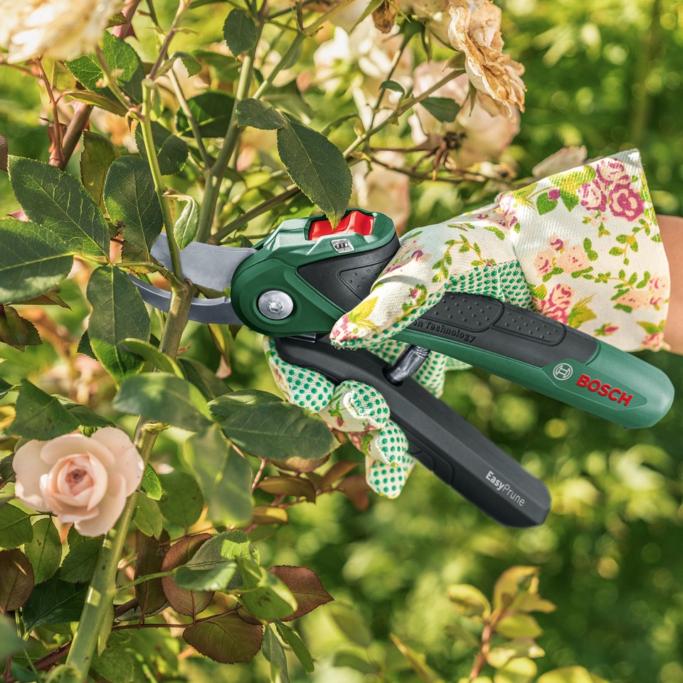 Bosch - Batteri Beskæringssaks Easy Prune 3,6V