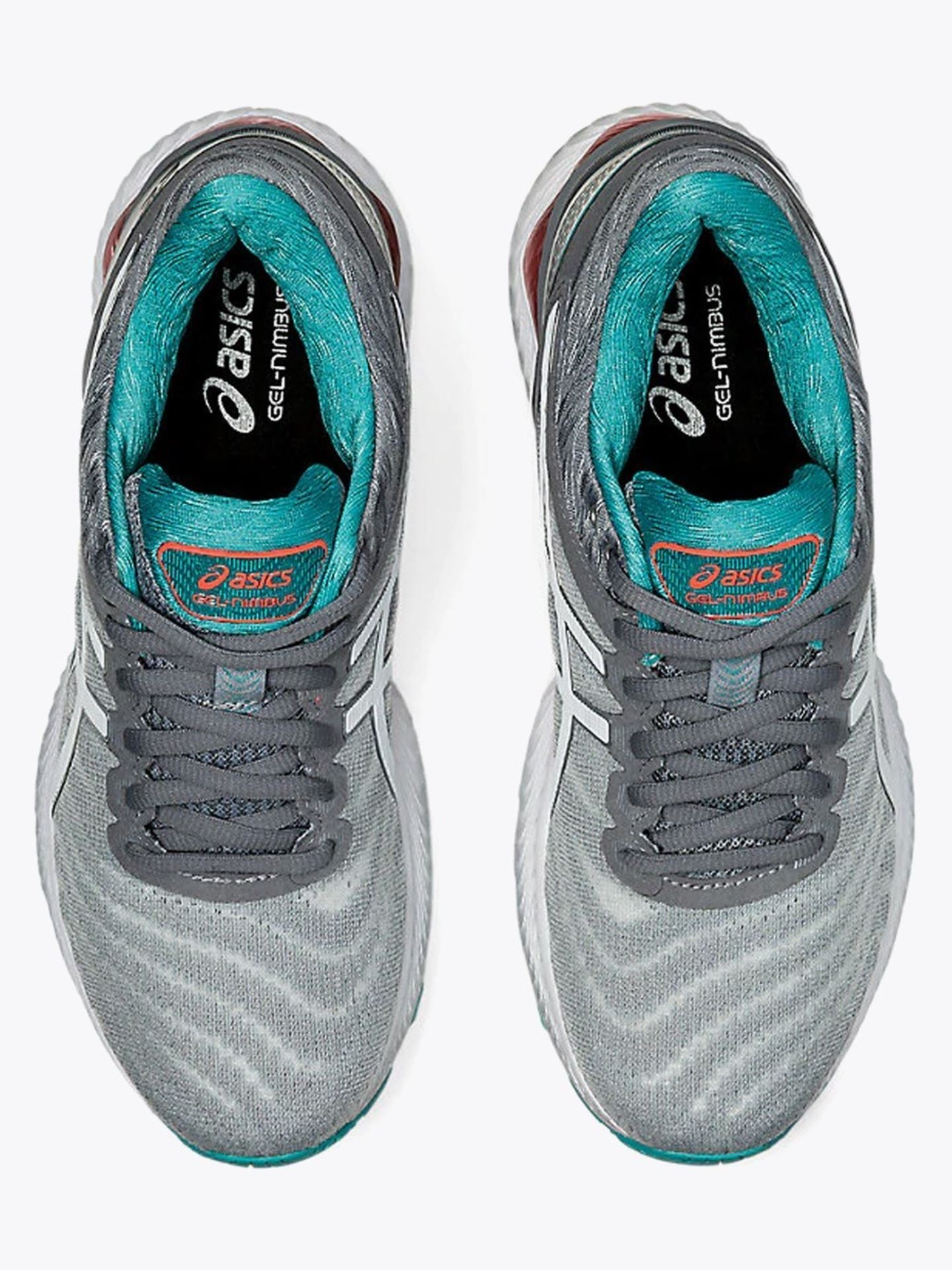 Gel-Nimbus 22