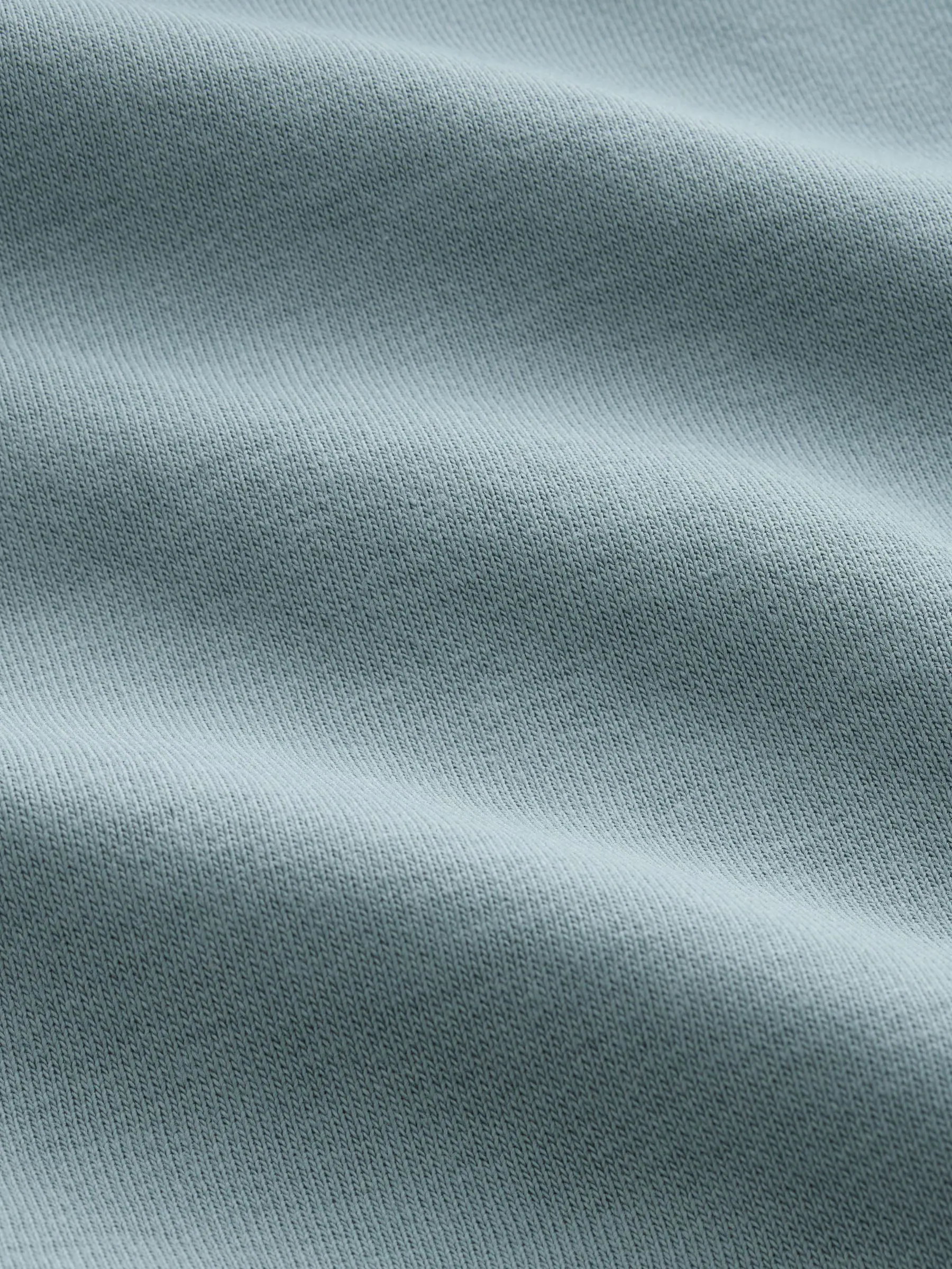 Blauw - Normale Pasvorm - Zwaargewicht Cotton Rich Jersey Hoodie