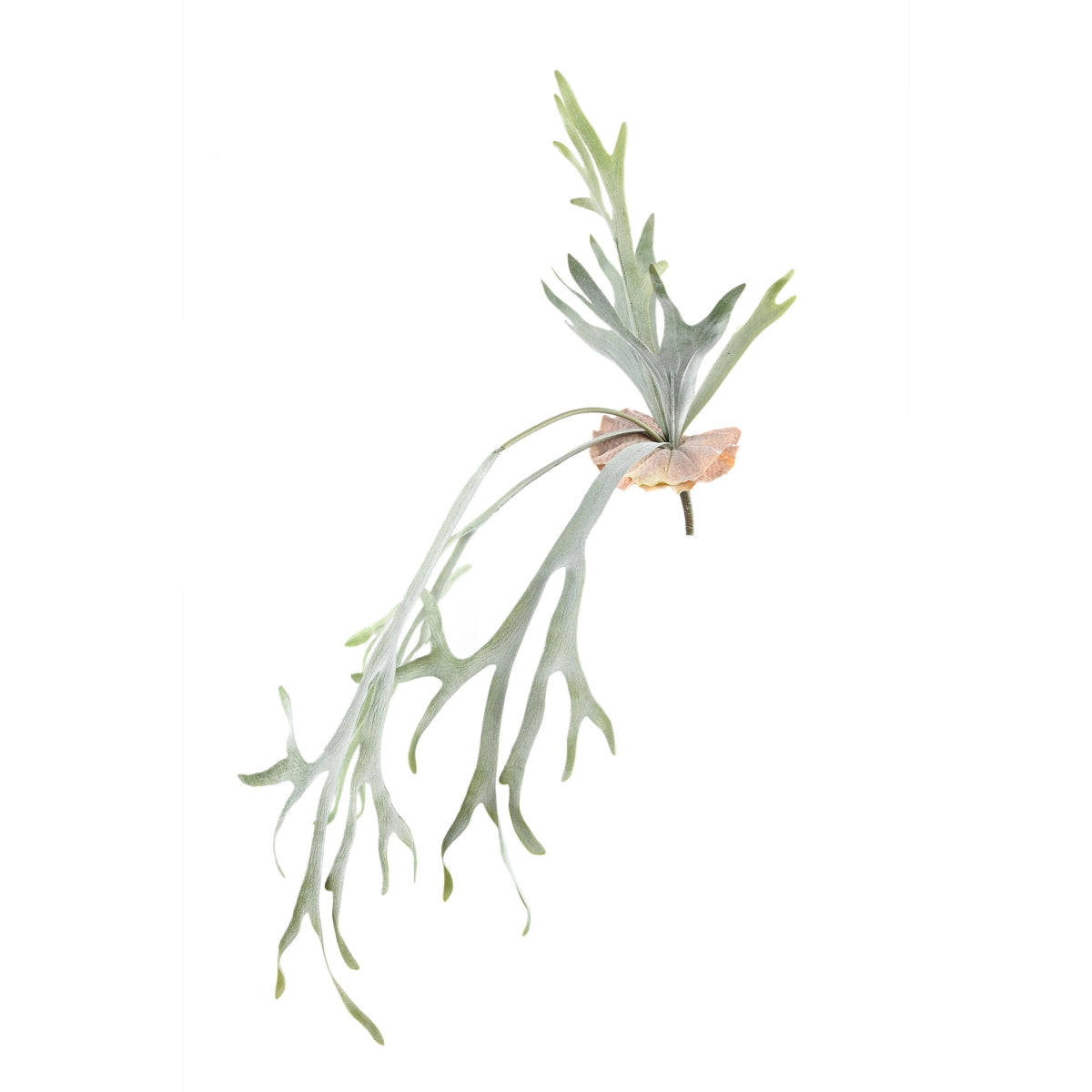 Ptmd branche artificielles leaves - 82x30x93 cm - pe - vert
