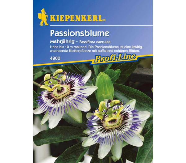 Kiepenkerl Saatgut Passionsblume
