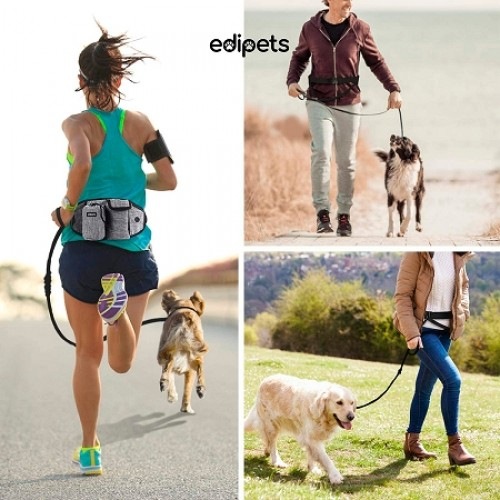 Guia Edipets Canicross com Bolsos de Armazenamento, Cinza, para Cães