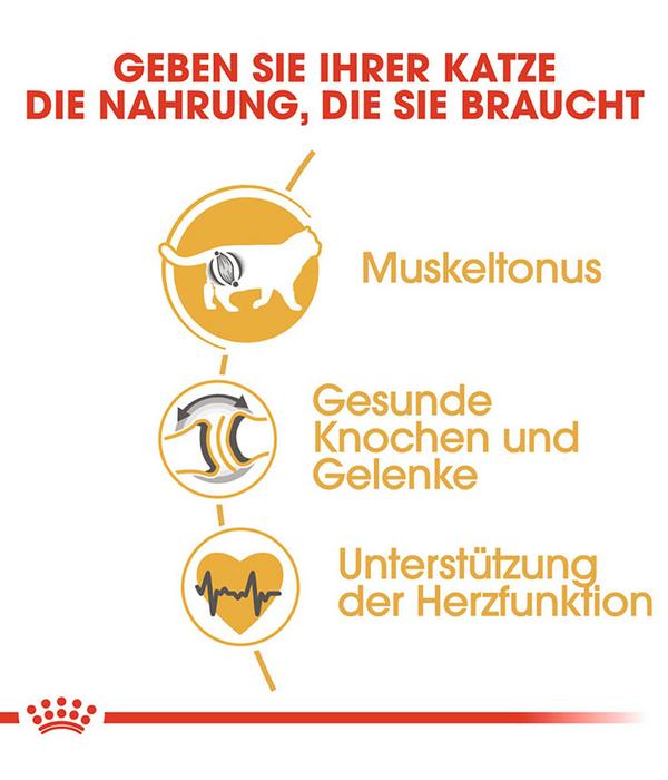 ROYAL CANIN® Trockenfutter für Katzen