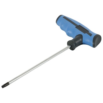 GAMMA inbussleutel T15