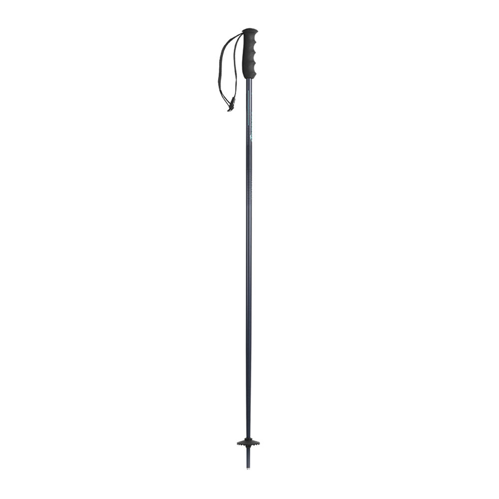 Nordica ALPINE TI WOMAN - Bâtons ski Femme grey