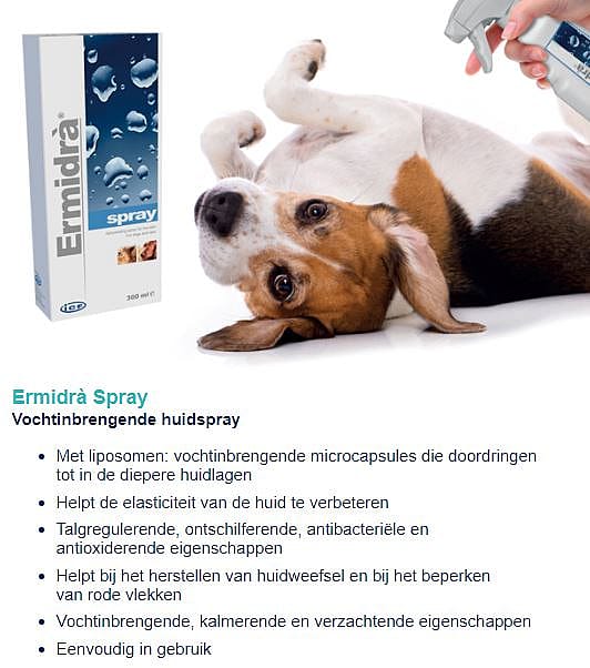 Ermidra Spray Hond Kat 300 ml | 12007
