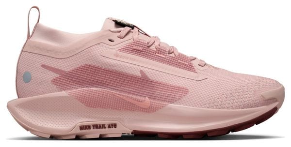 Chaussures Trail Nike Pegasus Trail 5 GTX Rose Femme