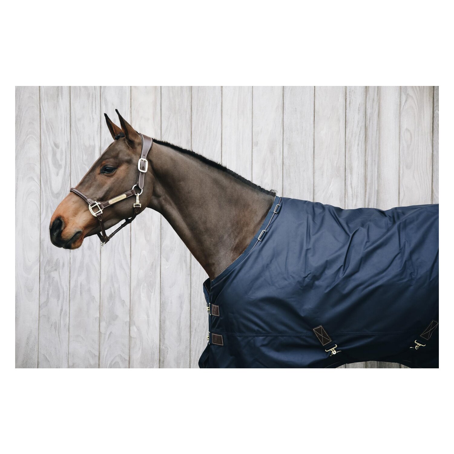 KENTUCKY Weidedecke All Weather Pro - navy