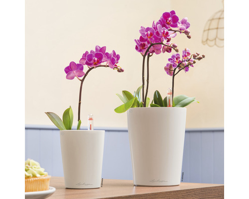 Lechuza Deltini kunststof bloempot, Ø 14 cm, H 18 cm, wit, inclusief zelfbewateringssysteem en waterniveau-indicator