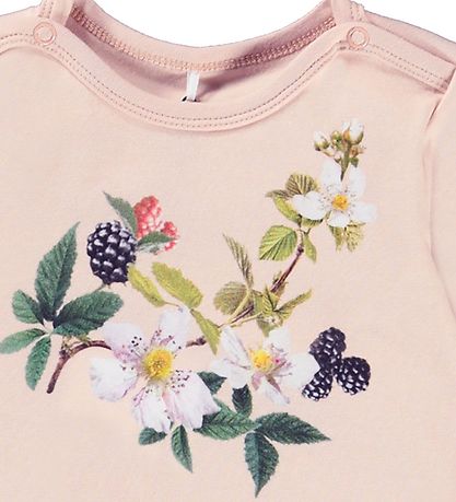 Molo Body l/æ - Foss - Berry Bouquet