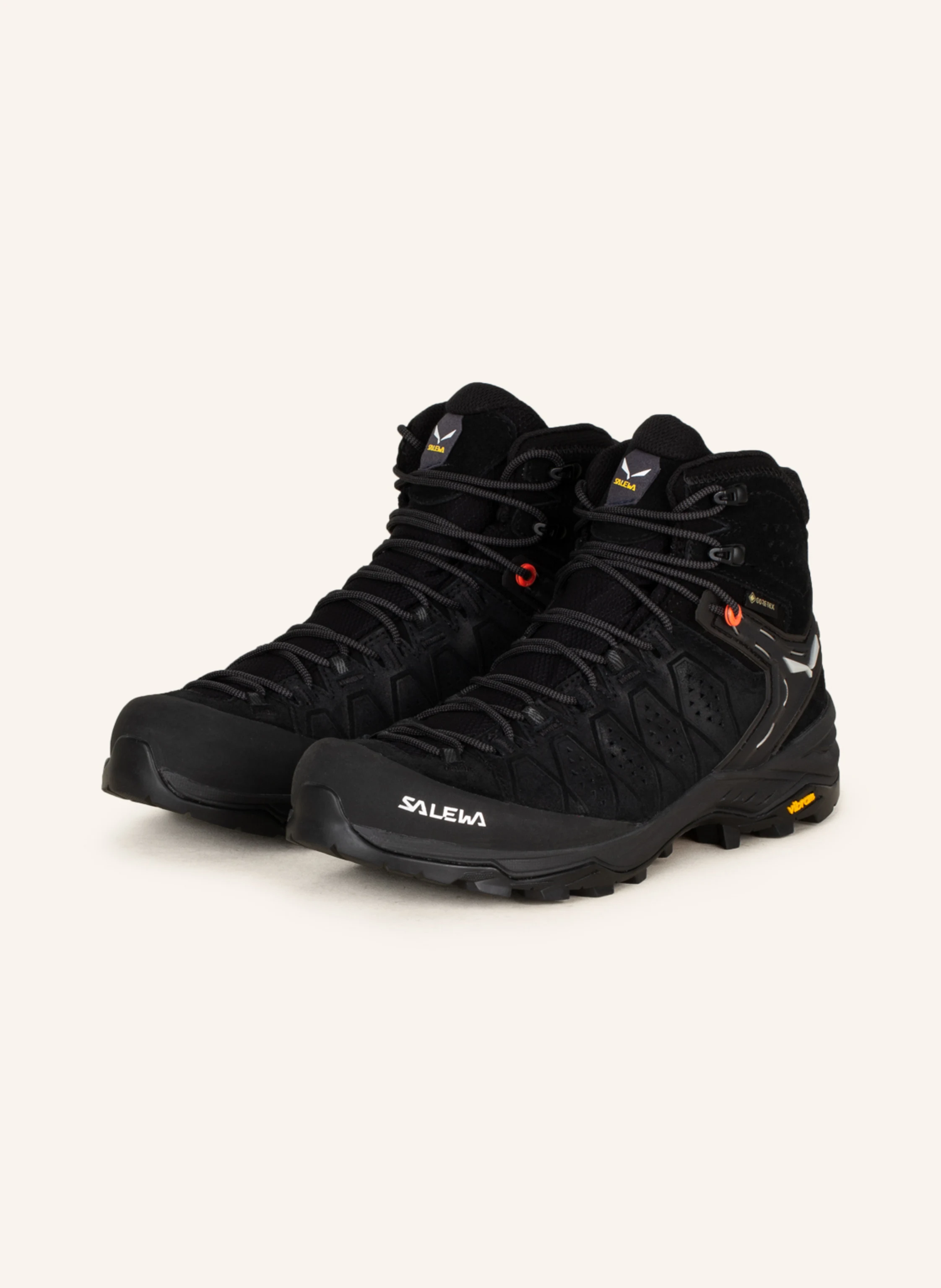 SALEWA Wanderschuhe ALP TRAINER 2 MID GTX