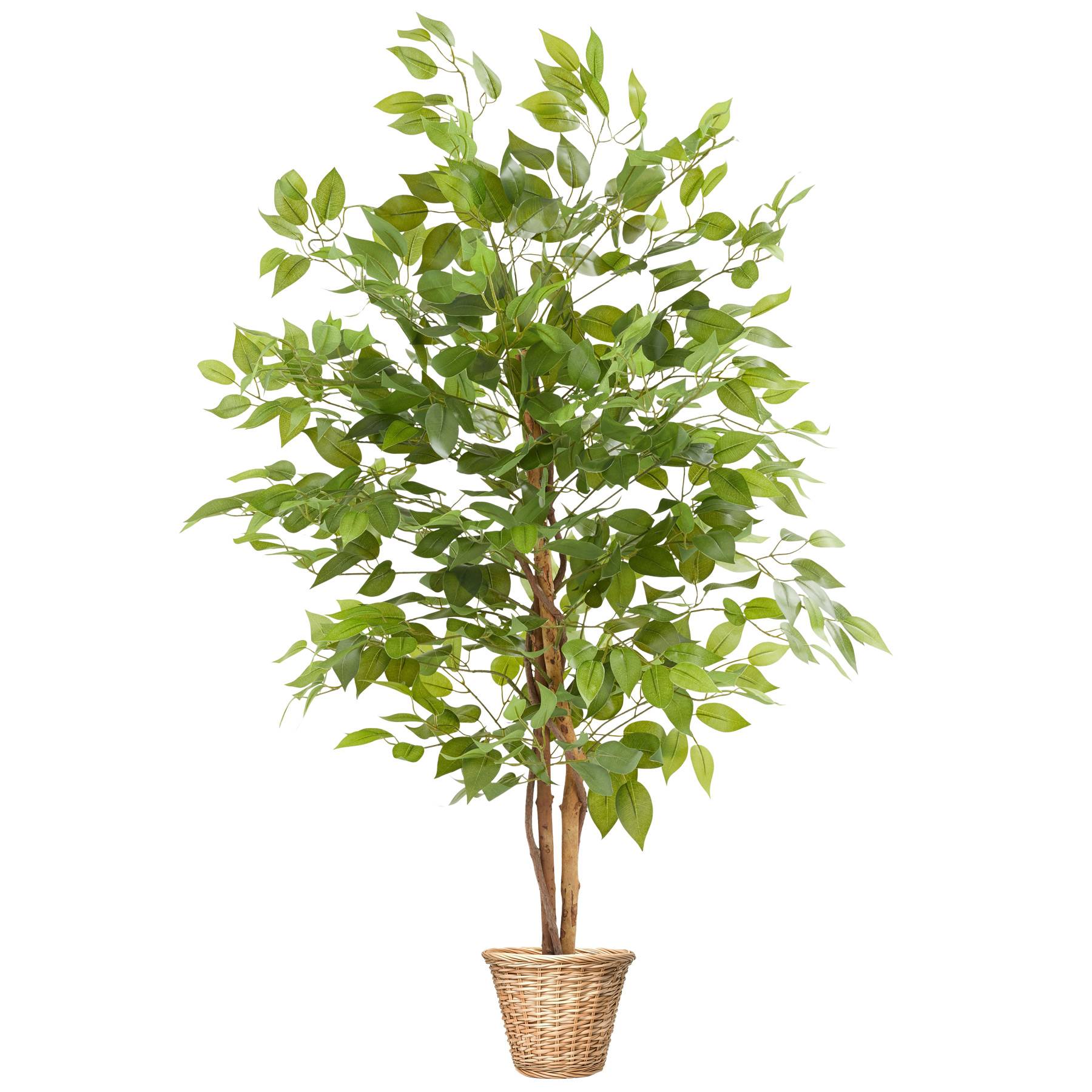 Künstlicher Ficusbaum Fida