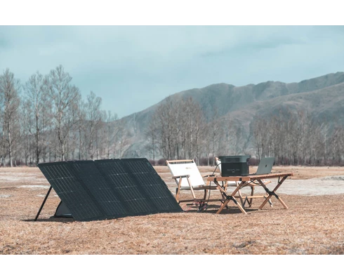 EcoFlow Solar Panel 220W