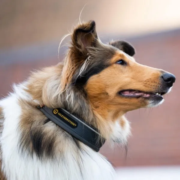 Seleverkstedet Unify dog collar Grå/brun