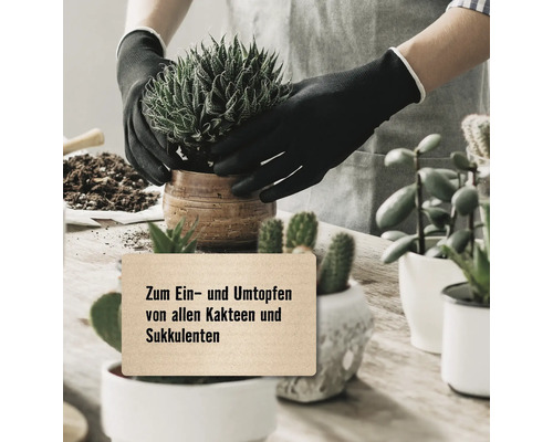 FloraSelf® Cactus- en vetplantengrond 5 l