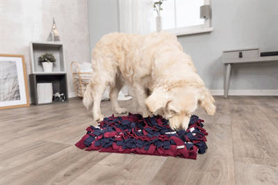Trixie hondenspeelgoed Activity Snuffelmat Assorti 50X34 cm