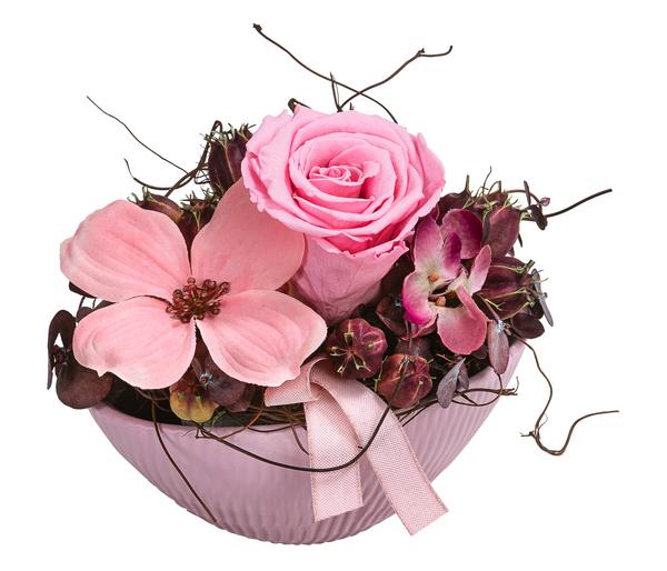 Dehner Keramik-Jardiniere mit Longlife-Rose