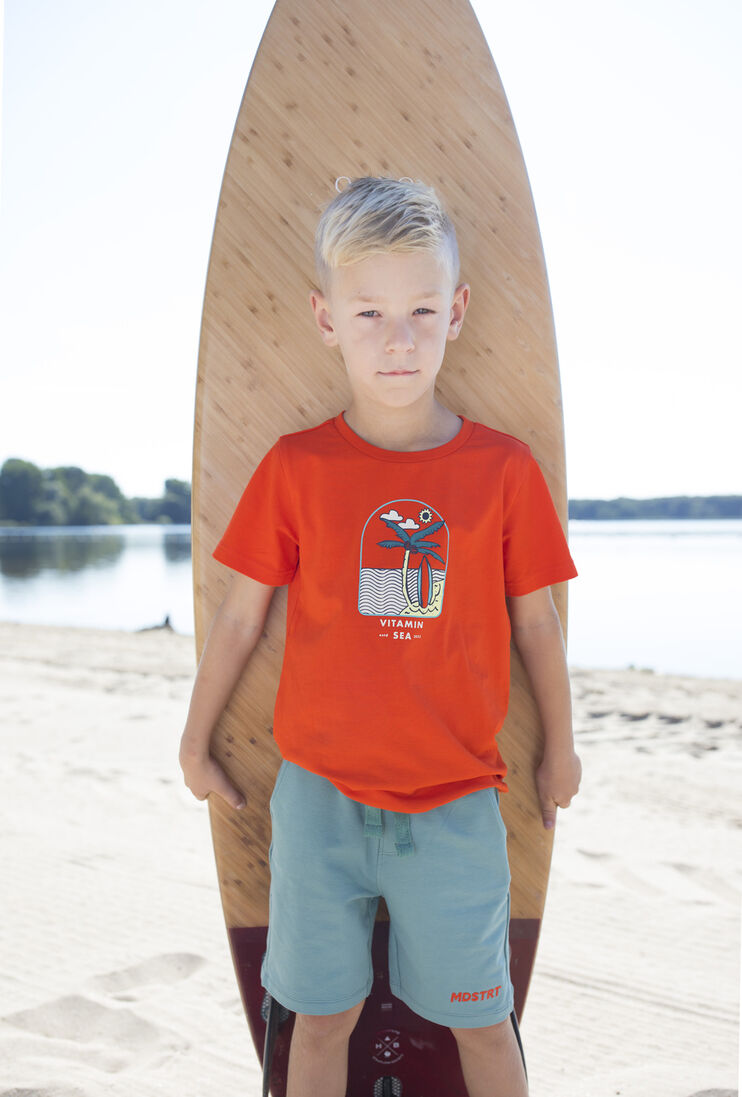 MOODSTREET oranje moodstreet t-shirt t-shirt with chest print