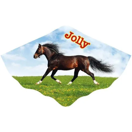 Günther Kinderdrache Jolly