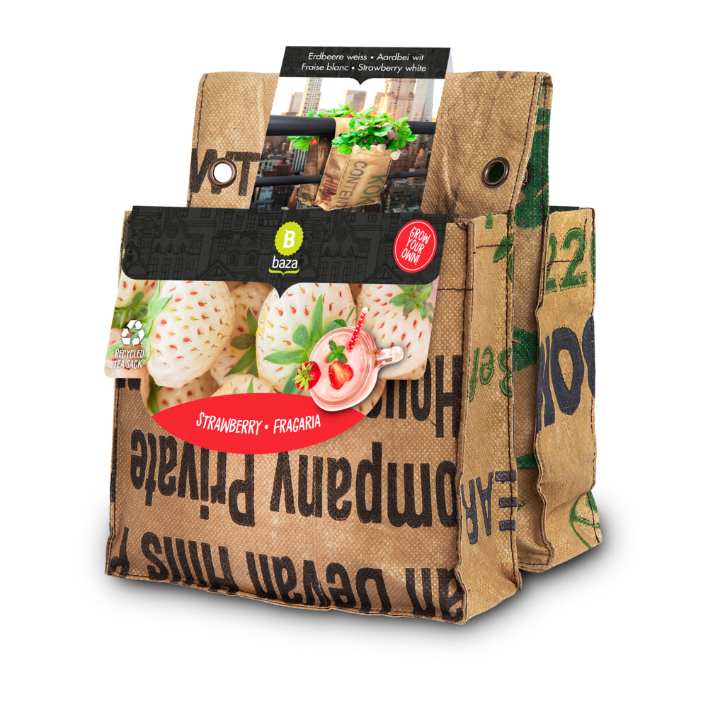 Baza Urban Garden Balkontuin Aardbei Wit & Rood