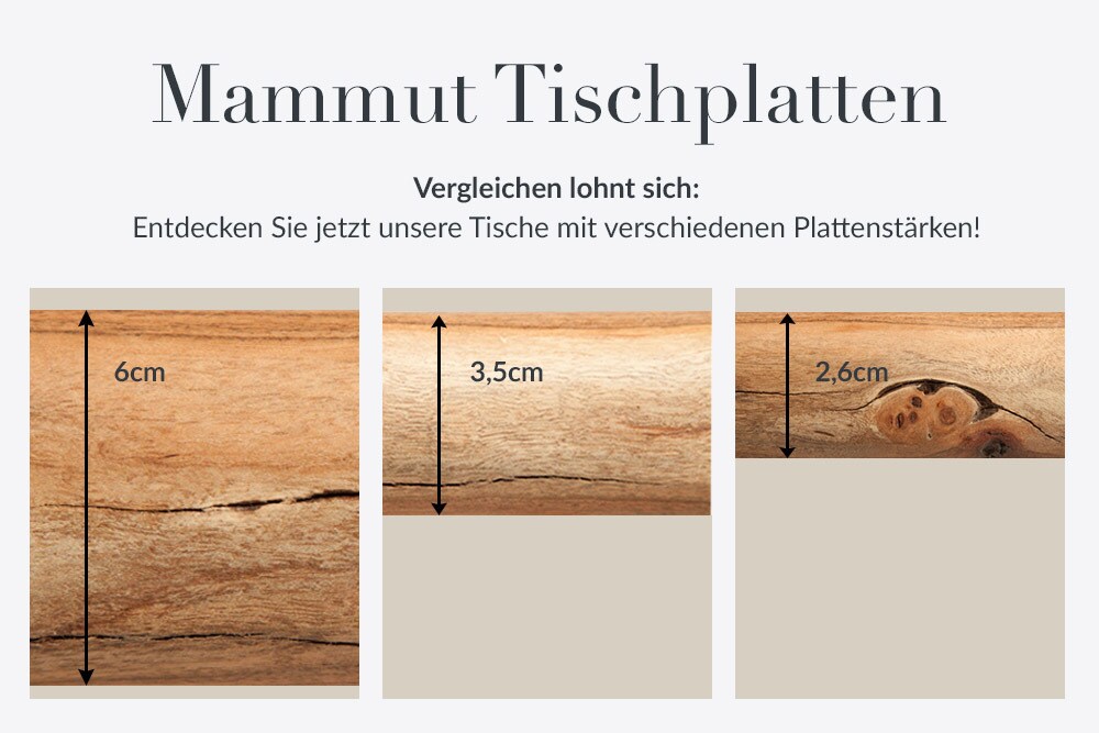 riess-ambiente Esstisch MAMMUT NATURE - 240cm Akazie Baumkante 6cm Tischplatte Edelstahlbeine Massivholz